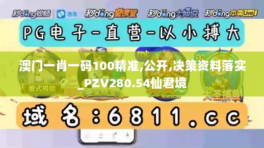 澳门一肖一码100精准,公开,决策资料落实_PZV280.54仙君境