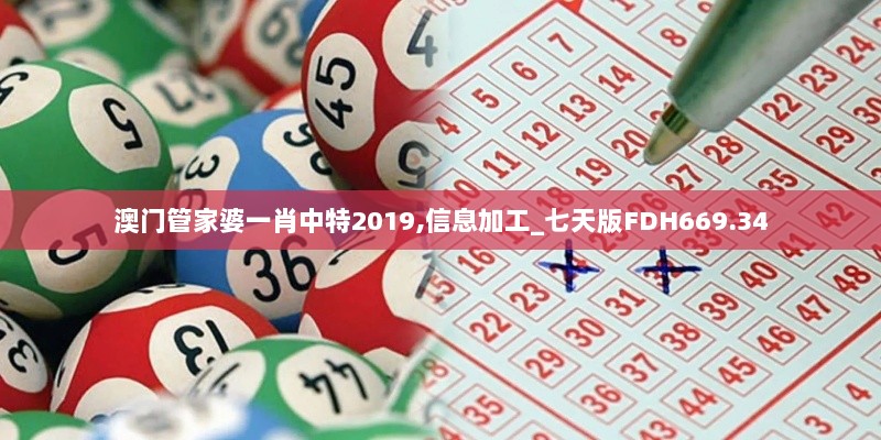 澳门管家婆一肖中特2019,信息加工_七天版FDH669.34