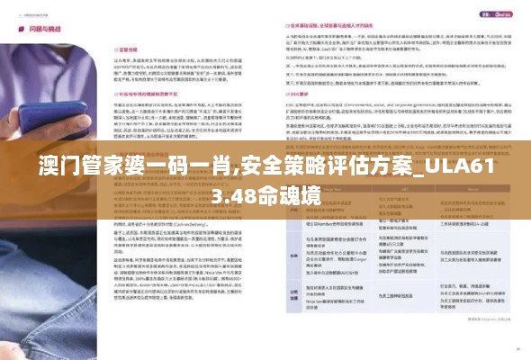 澳门管家婆一码一肖,安全策略评估方案_ULA613.48命魂境