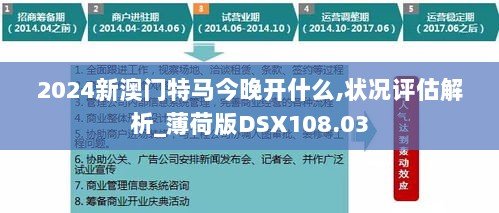 2024新澳门特马今晚开什么,状况评估解析_薄荷版DSX108.03