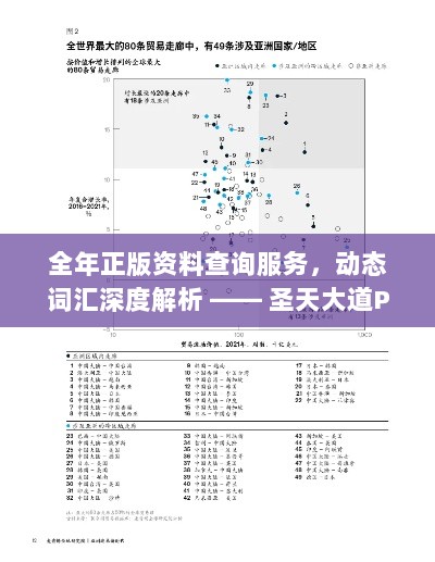 全年正版资料查询服务，动态词汇深度解析 —— 圣天大道PIF999.53