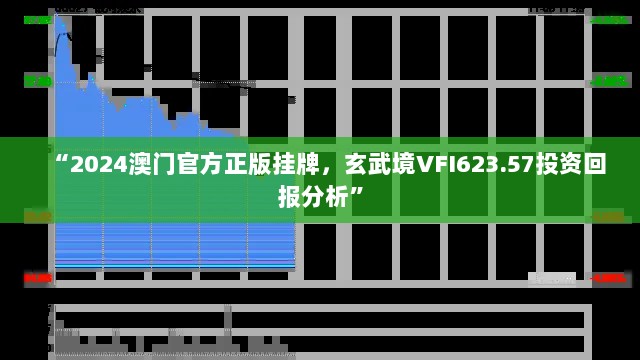 “2024澳门官方正版挂牌，玄武境VFI623.57投资回报分析”