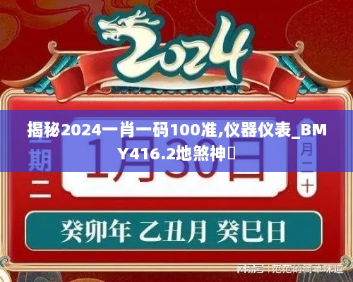 揭秘2024一肖一码100准,仪器仪表_BMY416.2地煞神衹