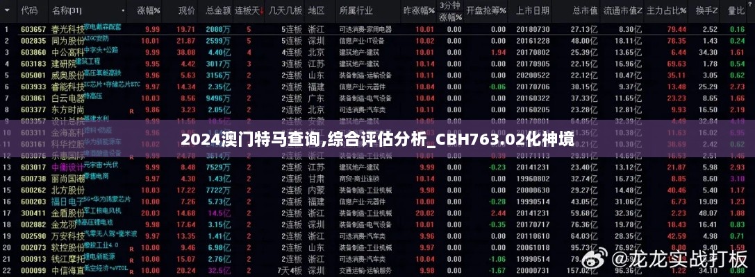 2024澳门特马查询,综合评估分析_CBH763.02化神境