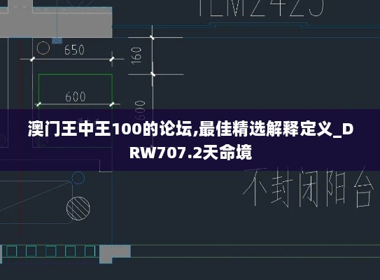 澳门王中王100的论坛,最佳精选解释定义_DRW707.2天命境