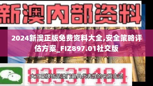 2024新澳正版免费资料大全,安全策略评估方案_FIZ897.01社交版