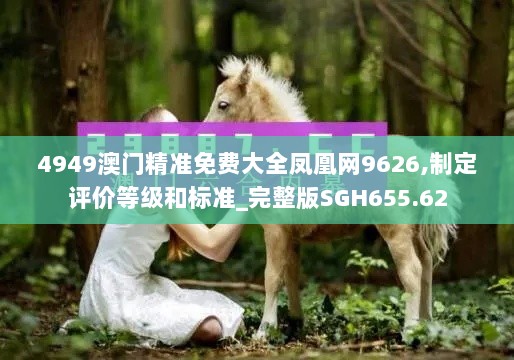 4949澳门精准免费大全凤凰网9626,制定评价等级和标准_完整版SGH655.62