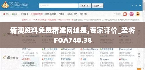 新澳资料免费精准网址是,专家评价_圣将FOA740.38