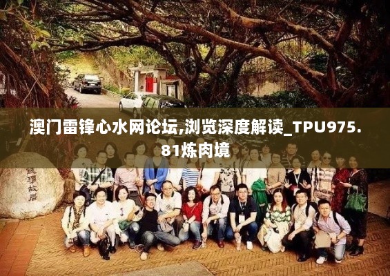 澳门雷锋心水网论坛,浏览深度解读_TPU975.81炼肉境