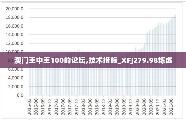 澳门王中王100的论坛,技术措施_XFJ279.98炼虚