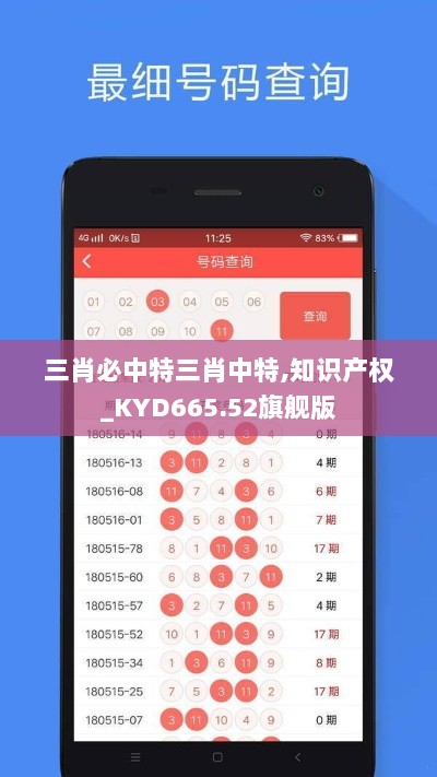 三肖必中特三肖中特,知识产权_KYD665.52旗舰版
