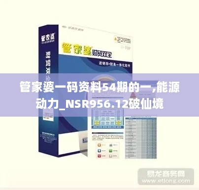 管家婆一码资料54期的一,能源动力_NSR956.12破仙境