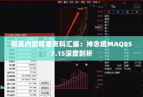 新奥内部精准资料汇编：神念境MAQ857.15深度剖析