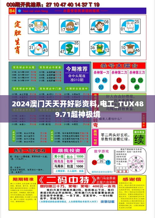 2024澳门天天开好彩资料,电工_TUX489.71超神极境