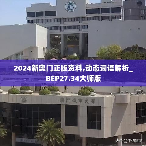 2024新奥门正版资料,动态词语解析_BEP27.34大师版