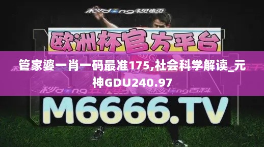 管家婆一肖一码最准175,社会科学解读_元神GDU240.97