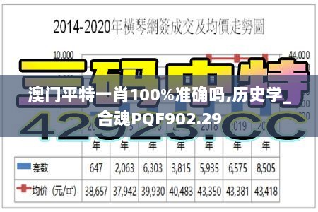 2024年11月13日 第42页