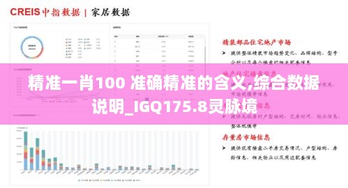 精准一肖100 准确精准的含义,综合数据说明_IGQ175.8灵脉境