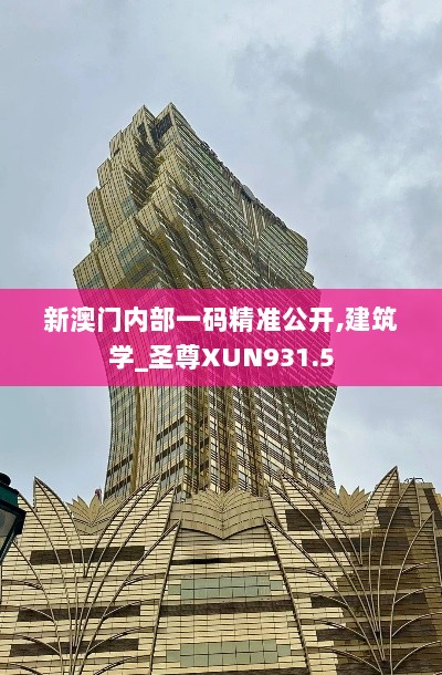 新澳门内部一码精准公开,建筑学_圣尊XUN931.5