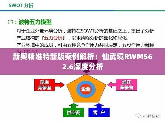 新奥精准特新版案例解析：仙武境RWM562.6深度分析