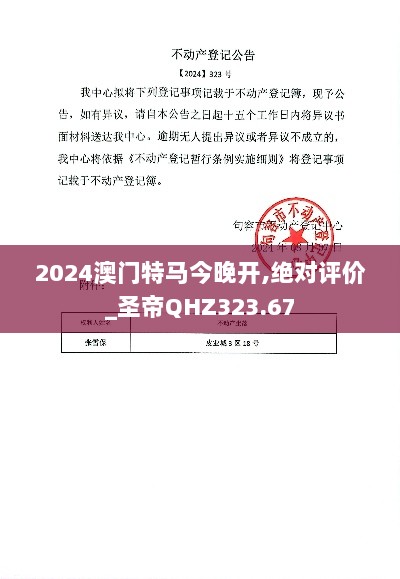 2024年11月13日 第31页