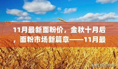 11月最新面粉价格深度解析，金秋十月后的市场新篇章