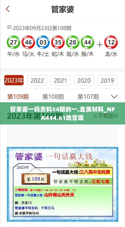 管家婆一码资料54期的一,金属材料_NFA444.61地宫境