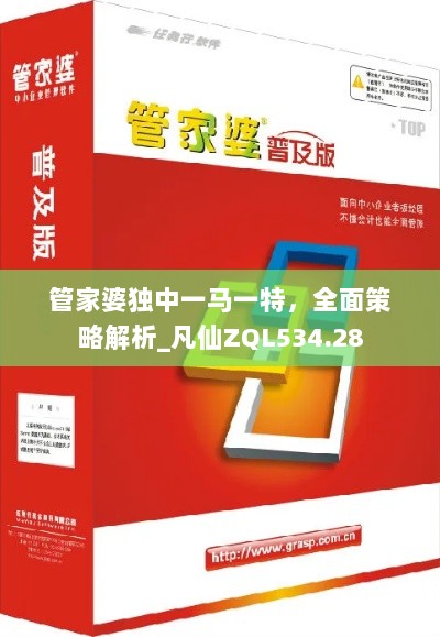 管家婆独中一马一特，全面策略解析_凡仙ZQL534.28