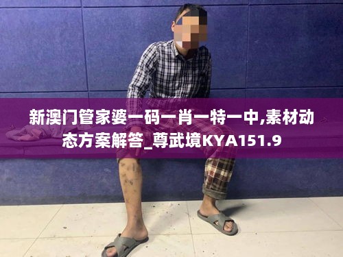 新澳门管家婆一码一肖一特一中,素材动态方案解答_尊武境KYA151.9