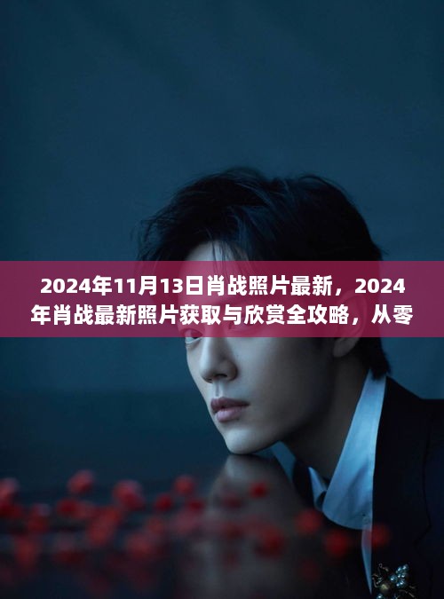 2024年肖战最新照片全攻略，轻松获取与欣赏的指南