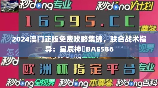 2024澳门正版免费攻略集锦，联合战术指导：星辰神祇BAE586