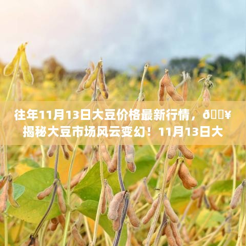 11月13日大豆价格行情揭秘与投资指南