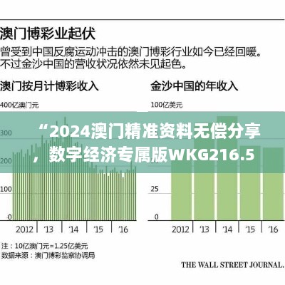 “2024澳门精准资料无偿分享，数字经济专属版WKG216.5”