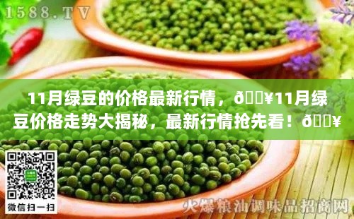 11月绿豆价格走势大揭秘，最新行情抢先看！