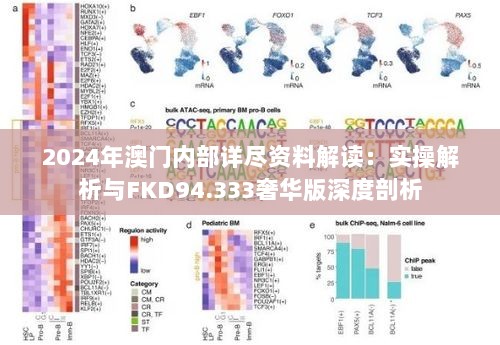 2024年澳门内部详尽资料解读：实操解析与FKD94.333奢华版深度剖析