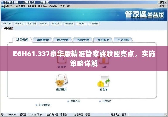 EGH61.337豪华版精准管家婆联盟亮点，实施策略详解