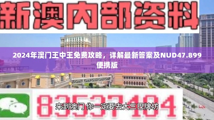 2024年澳门王中王免费攻略，详解最新答案及NUD47.899便携版