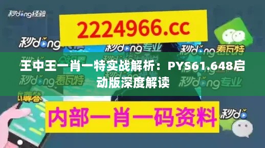 王中王一肖一特实战解析：PYS61.648启动版深度解读