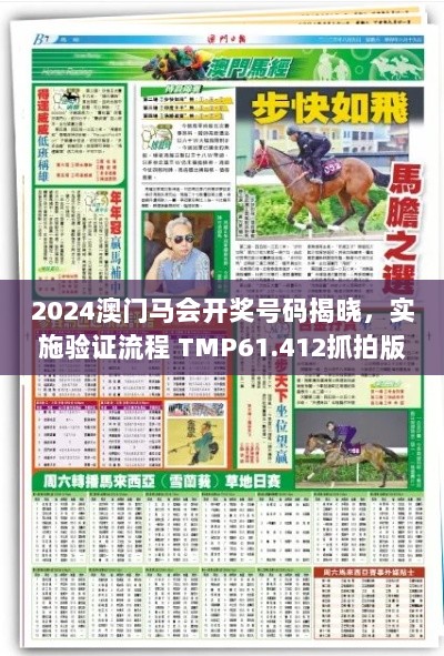 2024澳门马会开奖号码揭晓，实施验证流程 TMP61.412抓拍版本