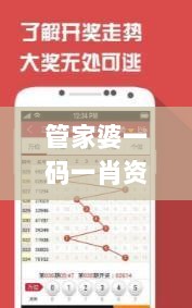 管家婆一码一肖资料详解，解码123与MZP94.590动感版