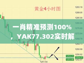 一肖精准预测100%，YAK77.302实时解析版