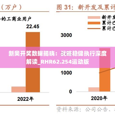 新奥开奖数据揭晓：战略稳健执行深度解读_RHR62.254运动版