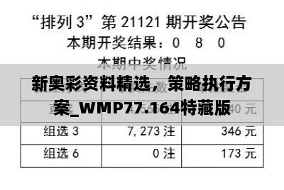 新奥彩资料精选，策略执行方案_WMP77.164特藏版