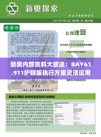 新奥内部资料大放送：BAY61.911护眼版执行方案灵活运用