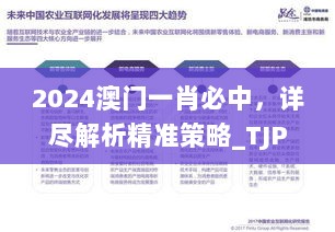 2024澳门一肖必中，详尽解析精准策略_TJP77.608商务版