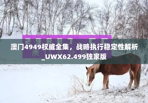 澳门4949权威全集，战略执行稳定性解析_UWX62.499独家版