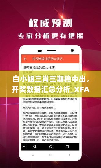 白小姐三肖三期稳中出，开奖数据汇总分析_XFA68.599极速版