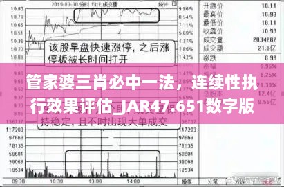 管家婆三肖必中一法，连续性执行效果评估_JAR47.651数字版