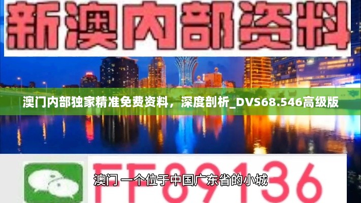 澳门内部独家精准免费资料，深度剖析_DVS68.546高级版