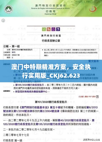 澳门中特期精准方案，安全执行实用版_CKJ62.623